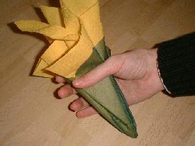 et former une sorte de bouquet