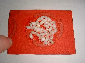disposer les grains de riz