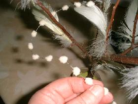 agrémenter d'une fine guirlande de petits pompons