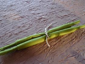 et vous obtenez le pliage en forme d'asperges