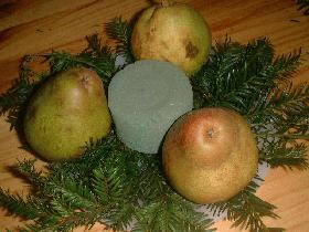 puis les piquer dans de la mousse florale et déposer le tout sur une assiette garnie de feuillage de sapin
